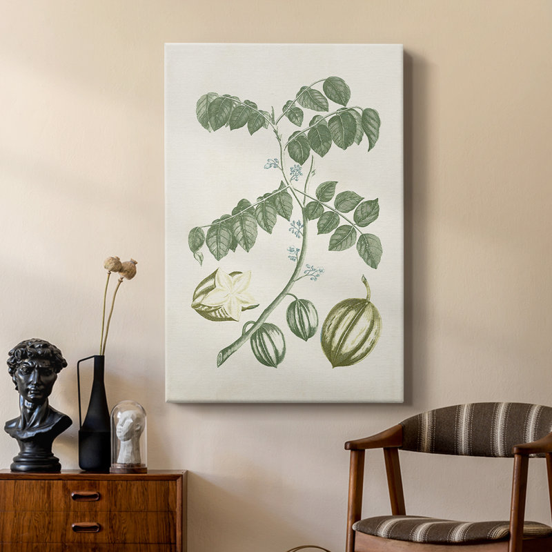 Buchoz Tropicals II - galerie sur mesure Cavas, H 18 po x l 12 po