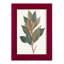 Fall Foliage VII, reproduction d'art encadrée-314635074-314635076