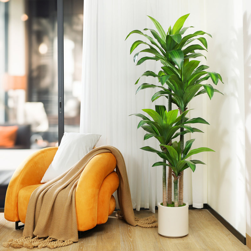 Adcock 70" Artificial Dracaena Tree in White Planter, Lifelike Fake Plant for Indoor and Outdoor Décor, 70" H x 18" W x 18" D