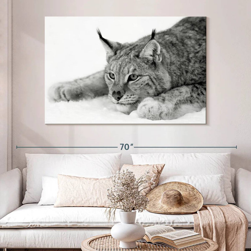 Brampt Lynx BW, 34" H x 51" W