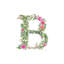 Botanical Letter B by Kelsey McNatt - Floater Frame Rectangle Print on Canvas-1455254486-1415118686