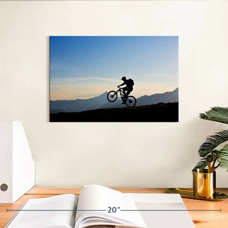 Senne Moutain Bike Wheelie, H 8 po x l 12 po