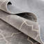 Tapis Antwanae Jill Zarin Lincoln Center Uptown-2073670504