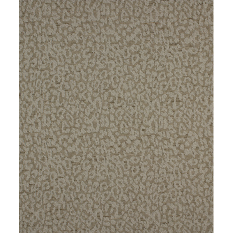 Tissu pirate, Brun / gris