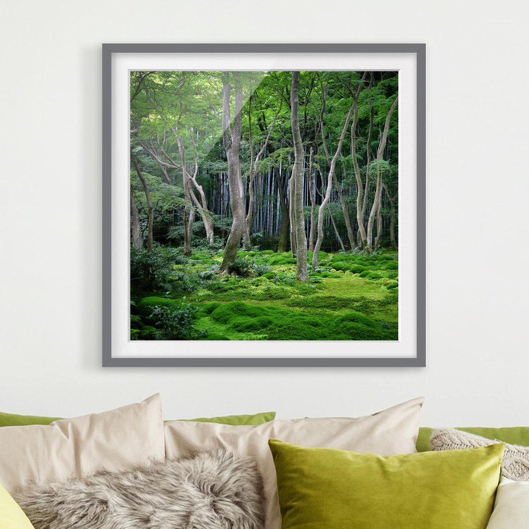 Gerahmtes Poster Japanese Forest