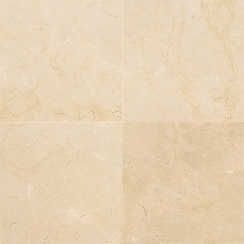 Marble Collection 12" x 12" Lightly Polished Natural Stone Field Tile in Crema Marfil
