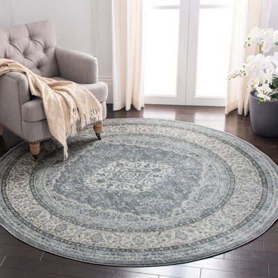 Delmer Performance Oriental Rug