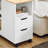 Home Office File Cabinet Printer Stand Storage Cabinet On Wheels Side Table End Table