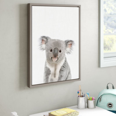 Animal Studio Koala by Amy Peterson Framed Canvas Wall Art Print