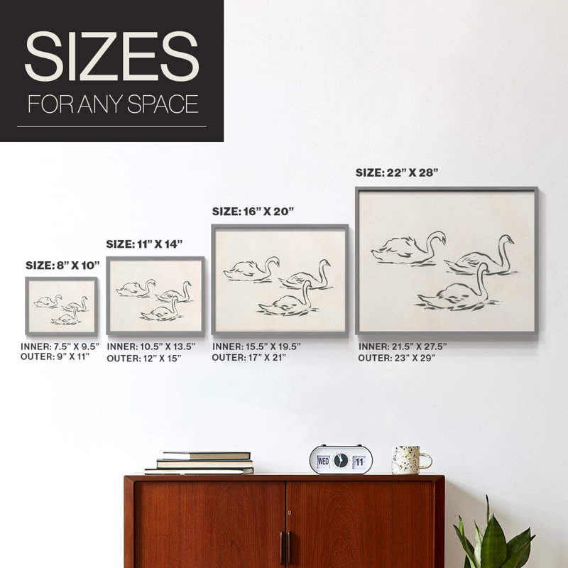 Swan Sketch II -Framed Print - Restickable, Gris, H 16 po x l 20 po