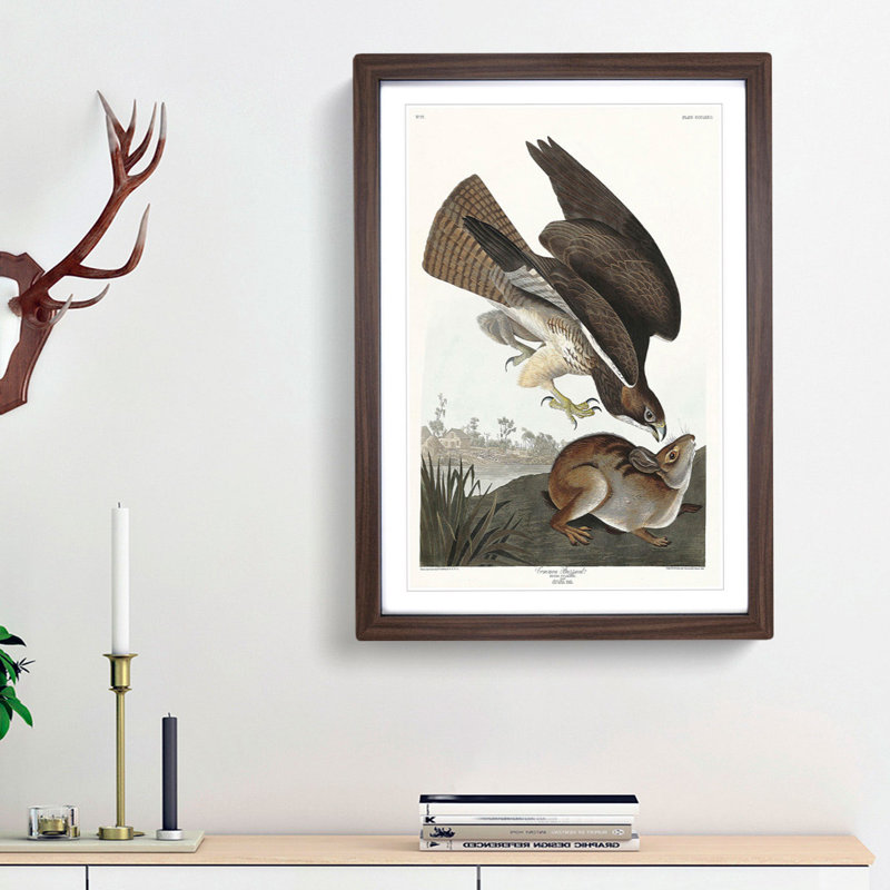 Common Buzzard & Rabbit by John Audubon - Picture Frame Painting Print, Walnut Framed, 65cm H x 48cm W x 2cm D