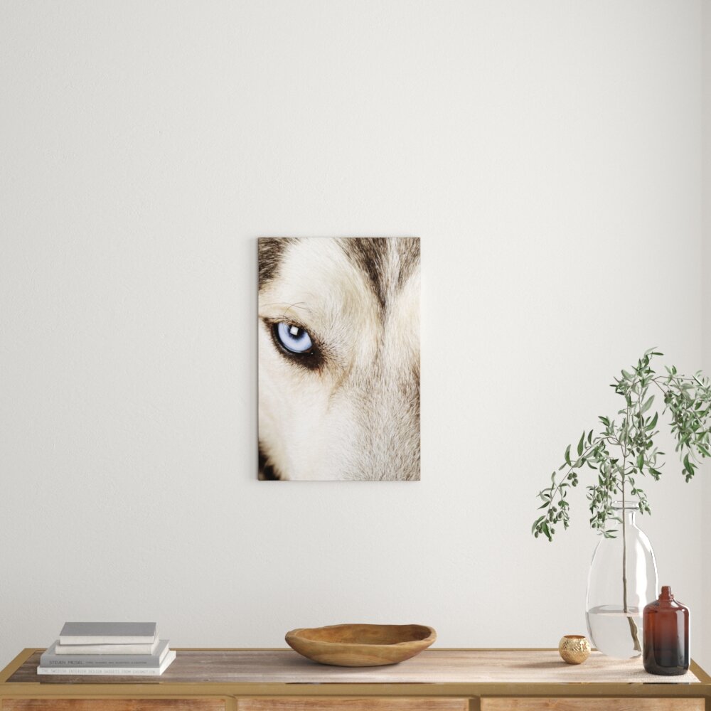 Leinwandbild Husky eisblaue Augen, Fotodruck