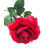 Rouge est en rupture de stock