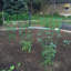 Support de plante galvanisé Bowermaster-27157352-27157354