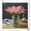 20 pièces de fleurs de lys Calla-945559909