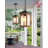 10'' Hardwired Outdoor Hanging Light-100015608