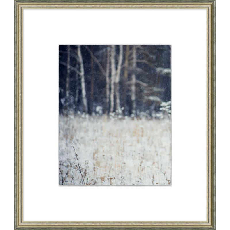 Thom Filicia Home Its Only Flurries 2, cadre photo sur papier