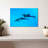 Brampt Maui Spinner Dolphins-108815035