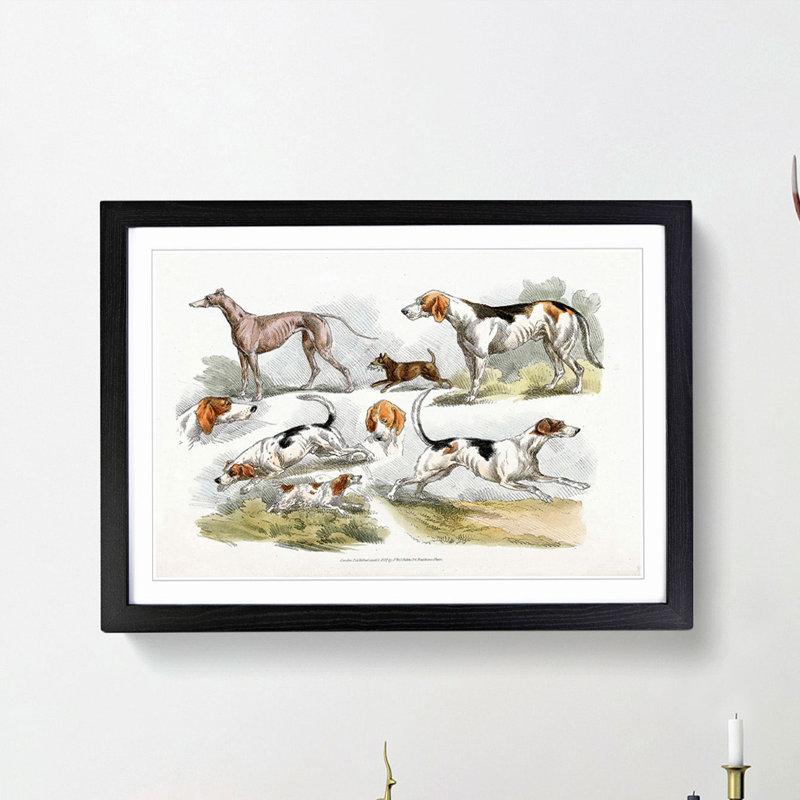 Hunting Dogs by Henry Alken - Picture Frame Painting Print, 48cm H x 65cm W x 2cm D, Black Framed