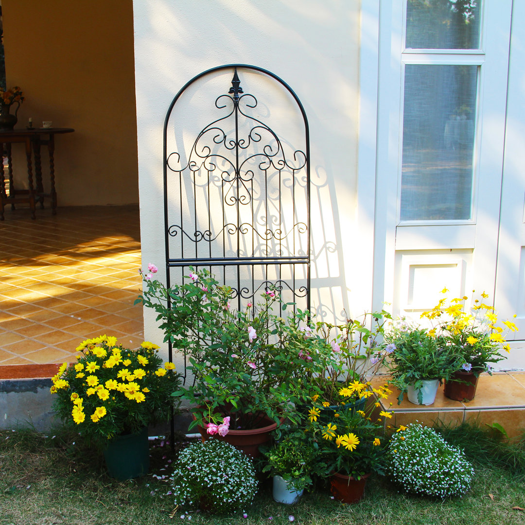 Clippard 59'' H x 21.6'' W Iron Lattice Panel Trellis Charlton Home®