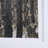 Forest View I a Hand Embelished Textured Framed Art Print Matted under Glass