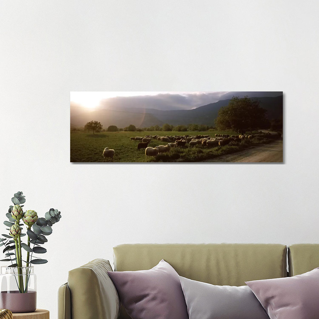 Flock Of Sheep Grazing In A Field - Wrapped Canvas Panoramic Print