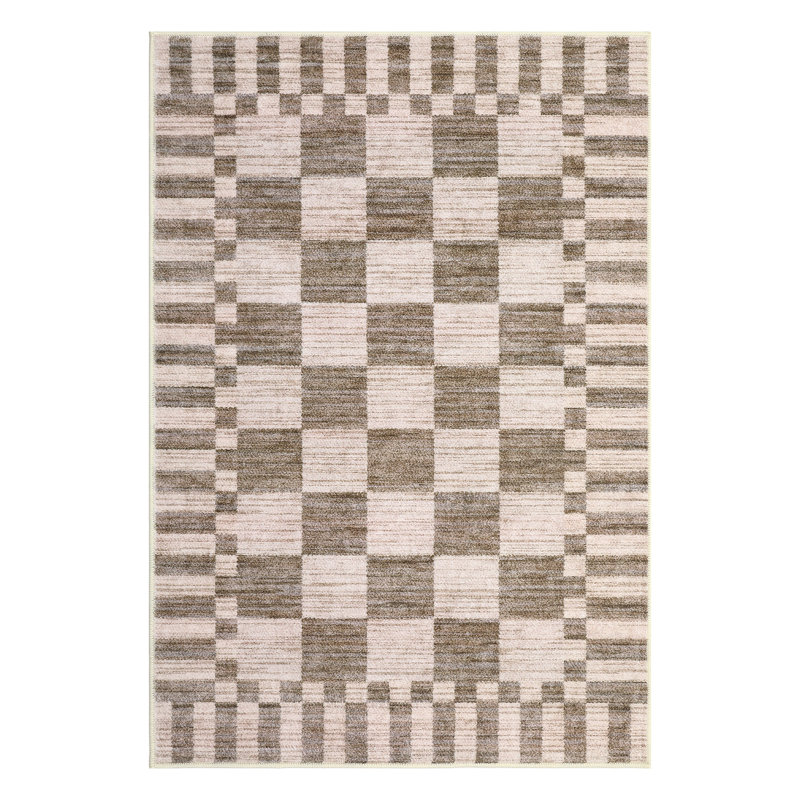 Checkered Rug for Living Room Washable Bedroom Rugs Non Slip Back Modern Classic Area Rug for Kids Boys Bedroom Home Decor Carpet for Dining Room Office
