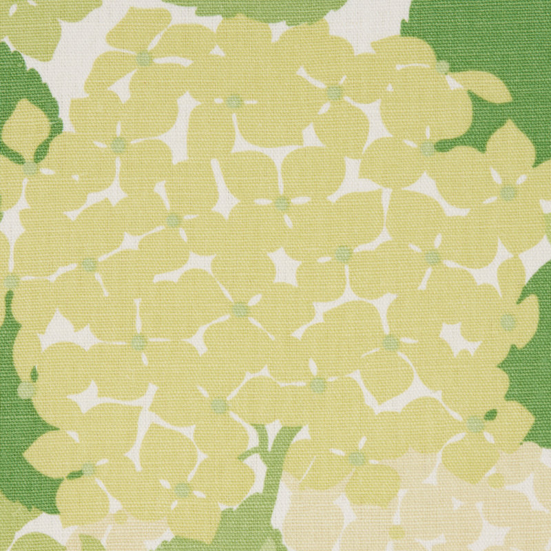 Tissu d'hortensia, Vert