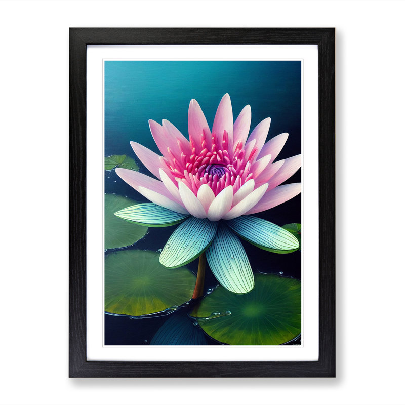 Water Lily Flower - Single Picture Frame Print, 64cm H x 46cm W x 2cm D, Black