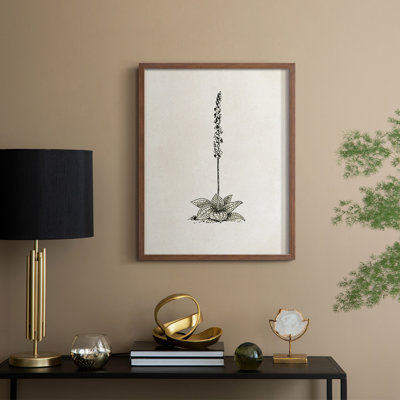 Reproduction florale vintage encadrée Cccxx - bois massif