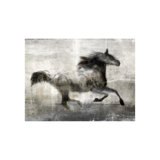 Quick Step Print by Leftbank Art