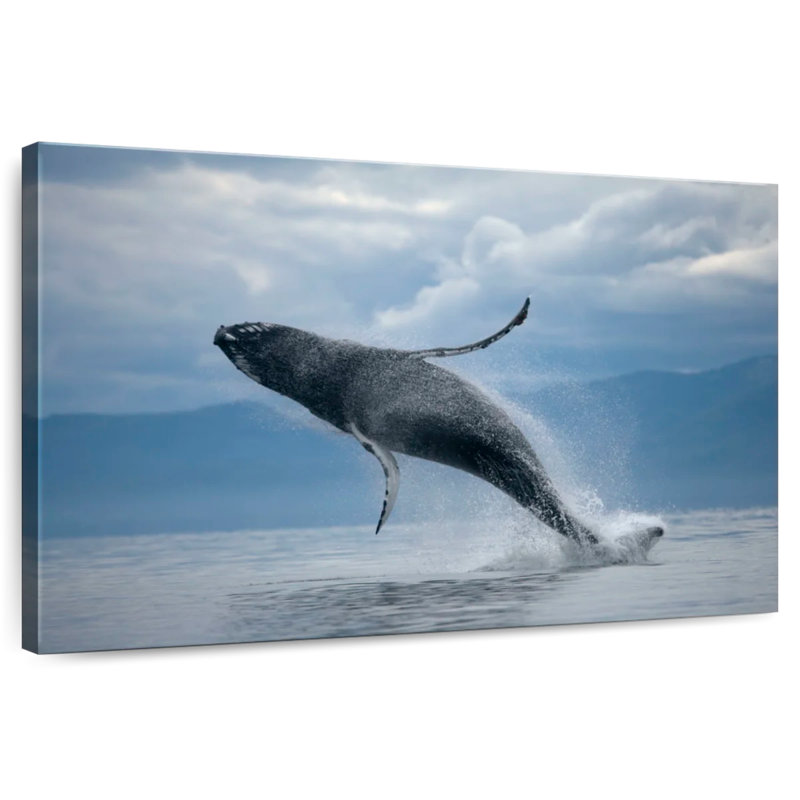 Rorpe brochant une baleine à bosse, H 16 po x l 24 po