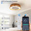 Ventilateur de plafond tressé 21 po Bohemian
