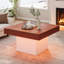 Sohna Coffee Table with Storage