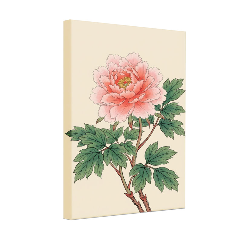 Plantes et fleurs pivoine rose avec feuilles vertes, H 24 po x l 16 po