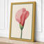 Pink Carnation Study Botanical - Wrapped Canvas-1805172488-1805172502
