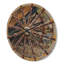Horloge murale en bois antique-63618349
