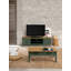Giardina TV Stand for TVs up to 55"-1588198798