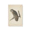 1 - Hibou perché imprimé sur toile roulée-105960889-105960885