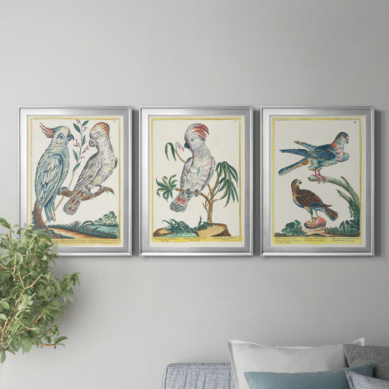«Pastel Birds I», reproduction encadrée de qualité supérieure - prête à être accrochée, H 30,5 po x l 67,5 po x P 1 po
