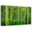 Alvord Bamboo Jungle-111960997