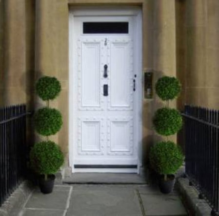 120cm Boxwood Topiary in Pot