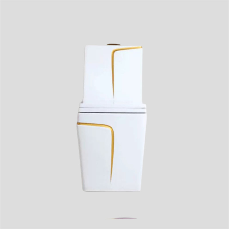 White-gold Dual-flush Elongated One-piece Toilet (seat Included)