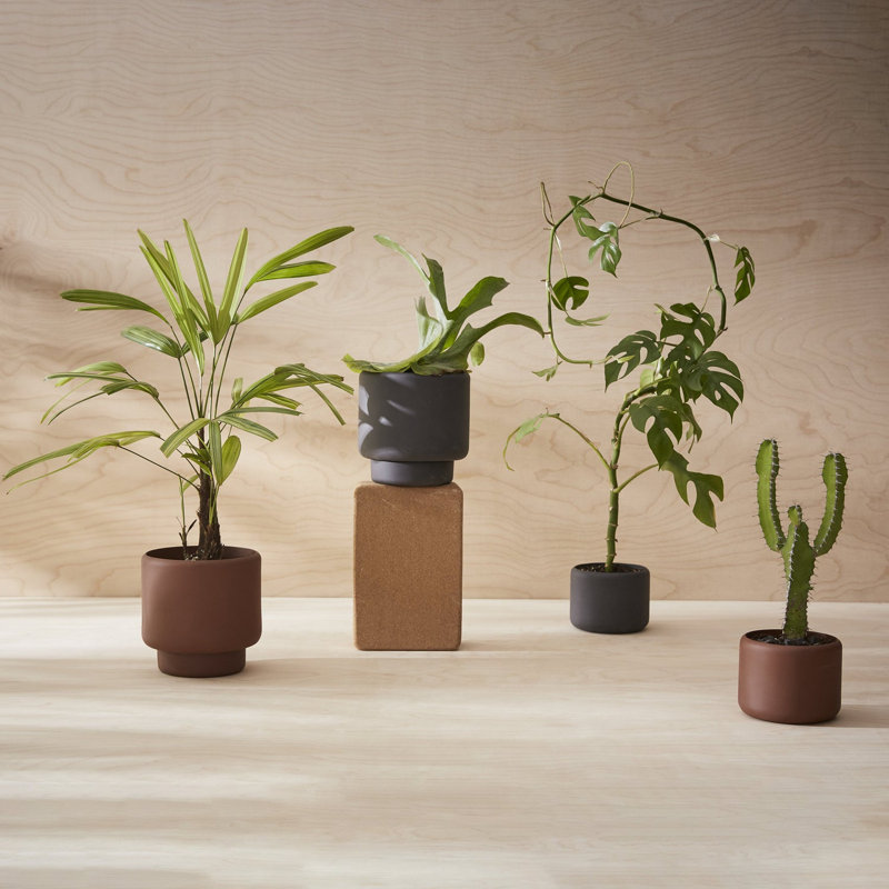 Porcelain Plant Pot, 6" H x 5.9" W x 5.9" D, Black