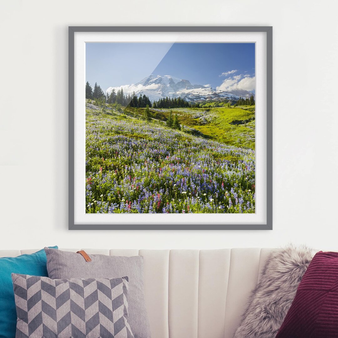 Gerahmter Fotodruck Bergwiese mit Blumen vor dem Mt. Rainier