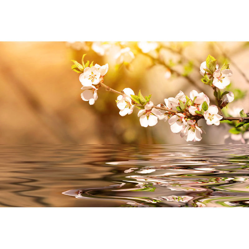 Flowering Cherry Tree Branch In Spring by Abigail210986 - Wrapped Canvas Print, 30cm H x 46cm W x 3.8cm D