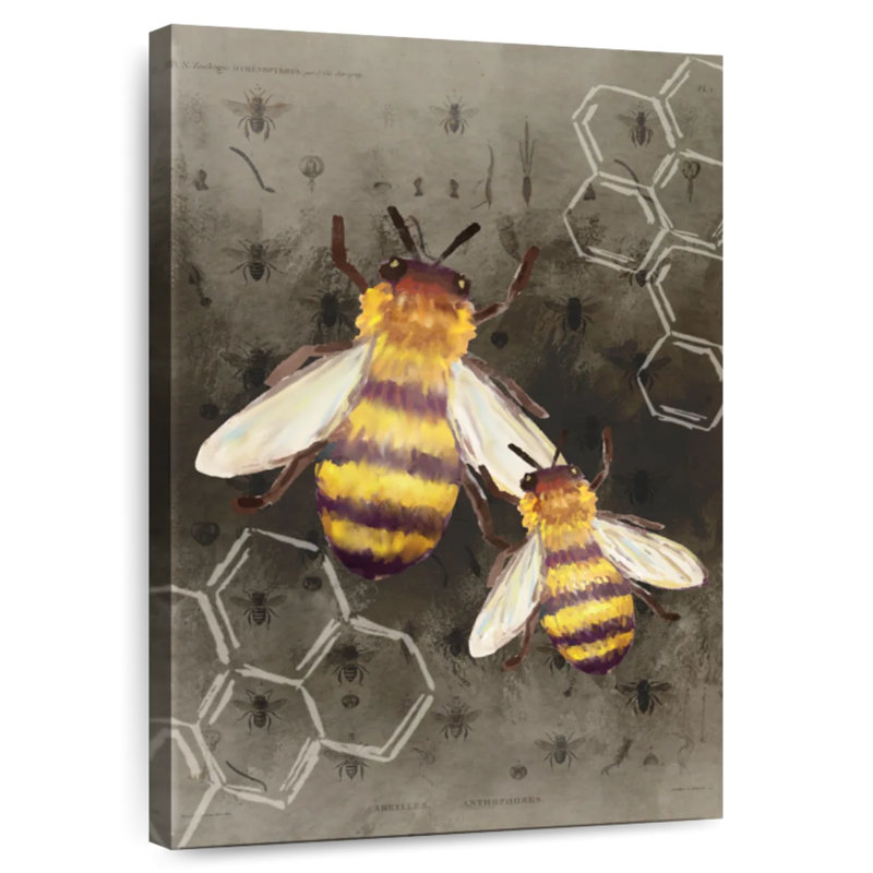 Brampt Bee Charmer II, 24" H x 16" W
