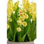 Cora RealTouch Muguet Arrangement-1025018372