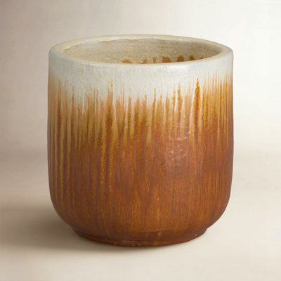 Janaesha Ceramic Pot Planter