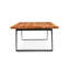 Amelie Solid Wood Top Coffee Table